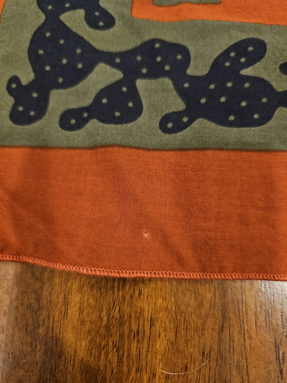 ​Bandits Bandanas 100% Organic Cotton Into The Unknown Desert Cactus CLEAN